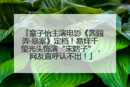 章子怡主演电影《酱园弄·悬案》定档！易烊千玺光头饰演“宋瞎子”，网友直呼认不出！