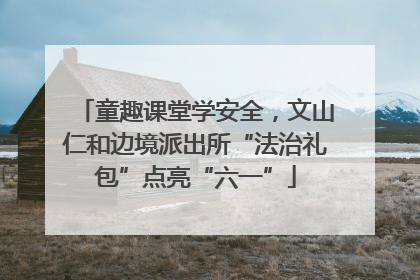 童趣课堂学安全，文山仁和边境派出所“法治礼包”点亮“六一”