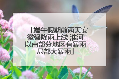 端午假期前两天安徽强降雨上线 淮河以南部分地区有暴雨局部大暴雨