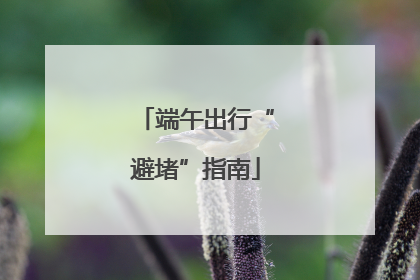 端午出行“避堵”指南