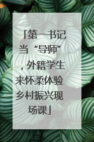 第一书记当“导师”，外籍学生来怀柔体验乡村振兴现场课