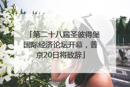 第二十八届圣彼得堡国际经济论坛开幕，普京20日将致辞