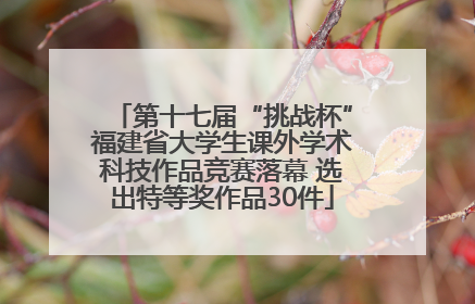 第十七届“挑战杯”福建省大学生课外学术科技作品竞赛落幕 选出特等奖作品30件