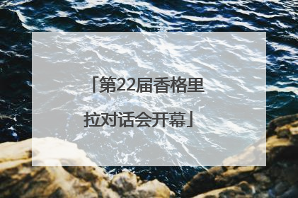 第22届香格里拉对话会开幕