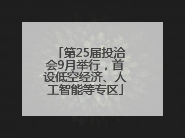 第25届投洽会9月举行，首设低空经济、人工智能等专区