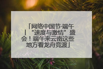 网络中国节·端午丨“速度与激情”盛会！端午来云南这些地方看龙舟竞渡
