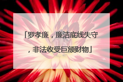 罗孝廉，廉洁底线失守，非法收受巨额财物