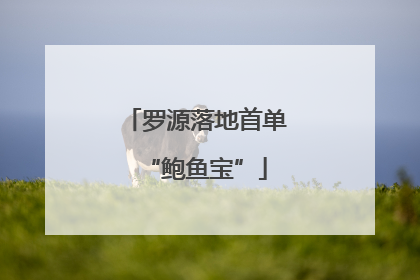罗源落地首单“鲍鱼宝”