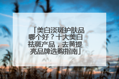 美白淡斑护肤品哪个好？十大美白祛斑产品，去黄提亮品牌选购指南