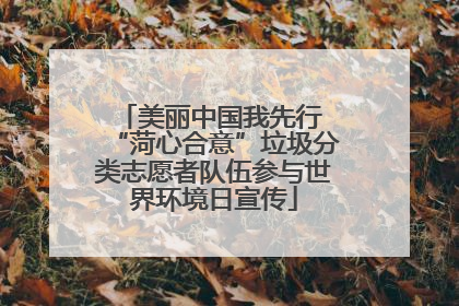 美丽中国我先行 “菏心合意”垃圾分类志愿者队伍参与世界环境日宣传