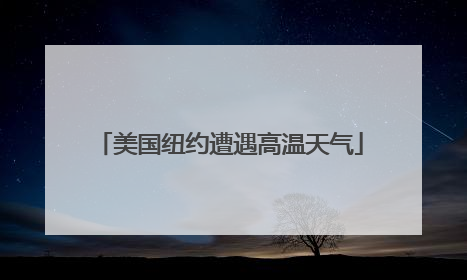 美国纽约遭遇高温天气