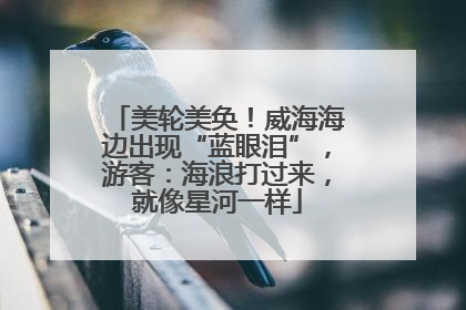 美轮美奂！威海海边出现“蓝眼泪”，游客：海浪打过来，就像星河一样