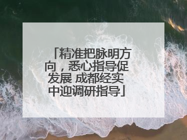 精准把脉明方向，悉心指导促发展 成都经实中迎调研指导