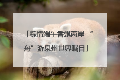粽情端午香飘两岸 “舟”游泉州世界瞩目