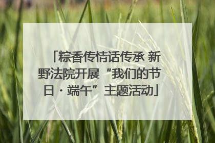 粽香传情话传承 新野法院开展“我们的节日・端午”主题活动