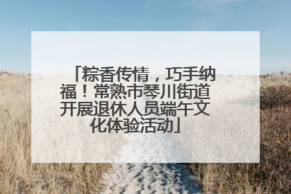 粽香传情，巧手纳福！常熟市琴川街道开展退休人员端午文化体验活动