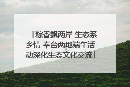 粽香飘两岸 生态系乡情 奉台两地端午活动深化生态文化交流