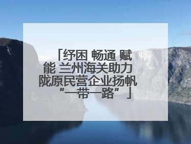 纾困 畅通 赋能 兰州海关助力陇原民营企业扬帆“一带一路”