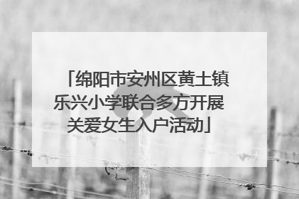 绵阳市安州区黄土镇乐兴小学联合多方开展关爱女生入户活动