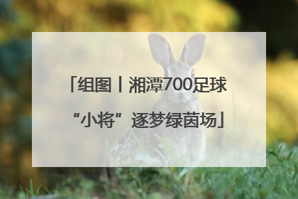 组图丨湘潭700足球“小将”逐梦绿茵场
