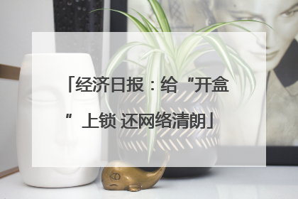 经济日报：给“开盒”上锁 还网络清朗