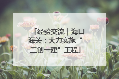 经验交流｜海口海关：大力实施“三创一建”工程