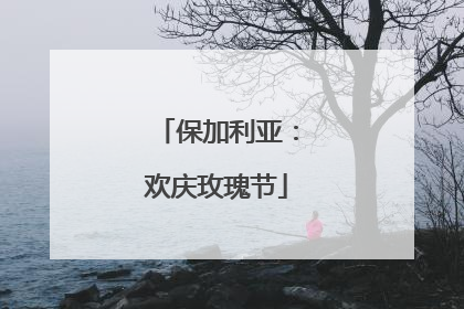 保加利亚：欢庆玫瑰节