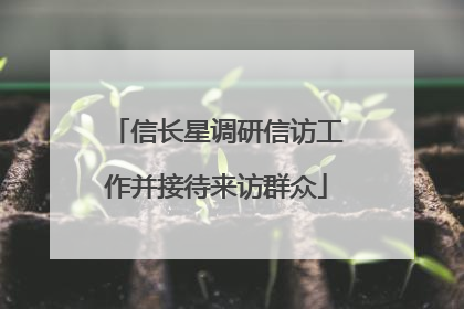 信长星调研信访工作并接待来访群众