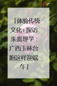 体验传统文化+探访朱熹理学：广西玉林台胞这样迎端午