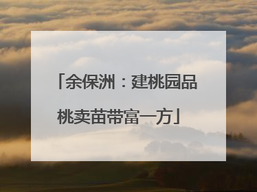 余保洲：建桃园品桃卖苗带富一方