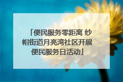 便民服务零距离 纱帽街道月亮湾社区开展便民服务日活动