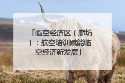 临空经济区（廊坊）：航空培训赋能临空经济新发展