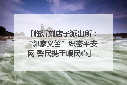临沂刘店子派出所：“邻家义警”织密平安网 警民携手暖民心