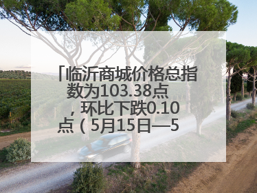 临沂商城价格总指数为103.38点，环比下跌0.10点（5月15日—5月21日）