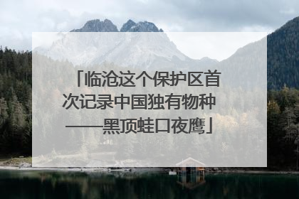 临沧这个保护区首次记录中国独有物种——黑顶蛙口夜鹰