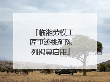 临湘劳模工匠事迹桃矿陈列揭幕启用