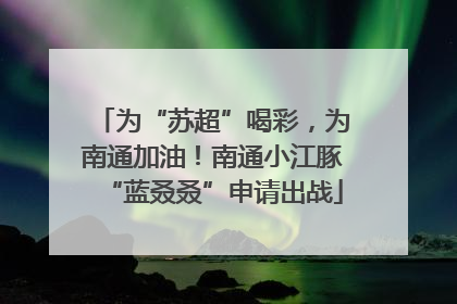 为“苏超”喝彩，为南通加油！南通小江豚“蓝叒叒”申请出战