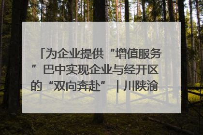 为企业提供“增值服务”巴中实现企业与经开区的“双向奔赴”｜川陕渝网络名人巴中行