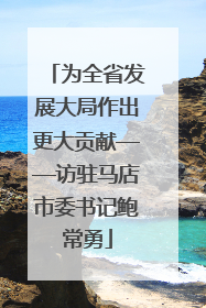 为全省发展大局作出更大贡献——访驻马店市委书记鲍常勇