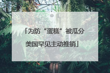 为防“蛋糕”被瓜分 美国罕见主动推销