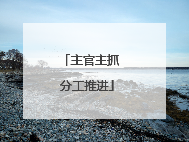 主官主抓 分工推进