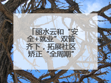 丽水云和“安全+就业”双管齐下，拓展社区矫正“全周期”管理新路径