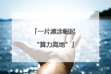 一片滩涂崛起“算力高地”