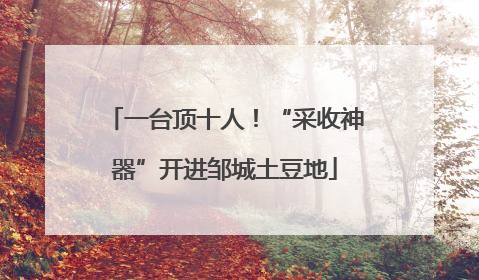 一台顶十人！“采收神器”开进邹城土豆地