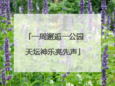 一周邂逅一公园 天坛神乐亮先声