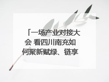 一场产业对接大会 看四川南充如何聚新赋绿、链享未来｜打赢经济发展翻身仗