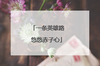 一条英雄路 悠悠赤子心