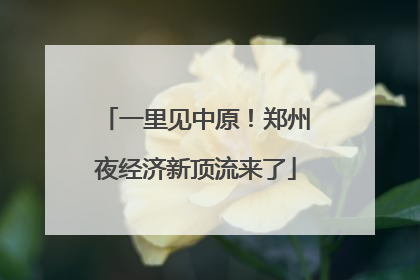 一里见中原！郑州夜经济新顶流来了