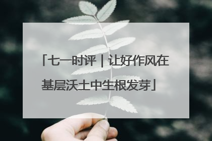 七一时评｜让好作风在基层沃土中生根发芽