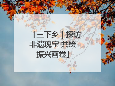 三下乡｜探访非遗瑰宝 共绘振兴画卷
